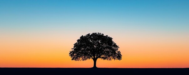 Poster - Silhouette of a lone tree against a colorful sunset sky.