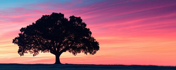 Poster - Silhouette of a tree against a vibrant sunset sky, outdoor nature scenery.
