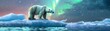 © OjoLali - Polar Bear on Iceberg with Northern Lights