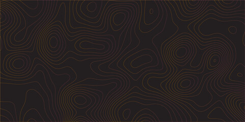 Poster - Abstract black colorful gradient Topographic line map pattern background. Contour elevation topographic and textured Background Modern design with black background with topographic wavy Patte and dot	