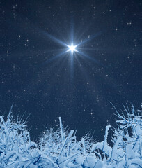 Wall Mural - christmas star in the starry sky mark the nativity of jesus christ over trees covered in snow