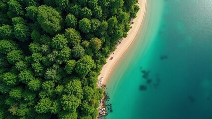 Wall Mural - Aerial photograph, scenic landscape, dense forest, lush canopy, deciduous and evergreen species