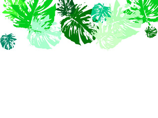Wall Mural - leaves background