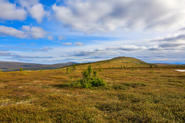 Wall Mural - Russia Perm Krai landscape on a cloudy summer day