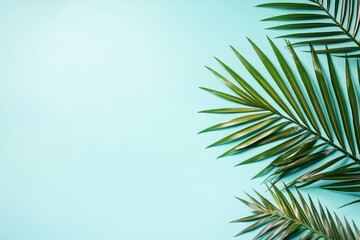 Poster - Vibrant green palm leaves against a turquoise background create a fresh and tropical vibe, perfect for nature and summer-themed designs.