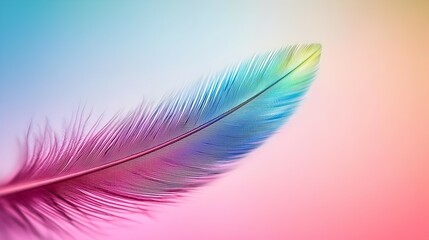 Poster - Vibrant Spectrum Feather Macro - Captivating Rainbow Hues and Intricate Patterns Showcasing Natures Delicate Beauty and Texture in a Stunning Close-Up