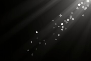 Wall Mural - abstract light beams with sparkling dust: elegant black and white bokeh effect.