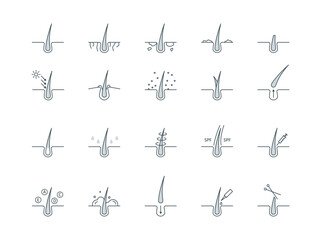 Poster - Hair Follicle Treatment Sign Black Thin Line Icon Set Cut, Shampoo, Spf, Loss, Trichology and Moisturizing. Vector illustration of Icons