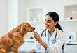 © Anna - Veterinarian feeding a dog treat during examination in modern clinic