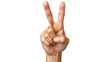 © PNG Batch - hand showing ok sign Isolated On PNG Transparent Background And White