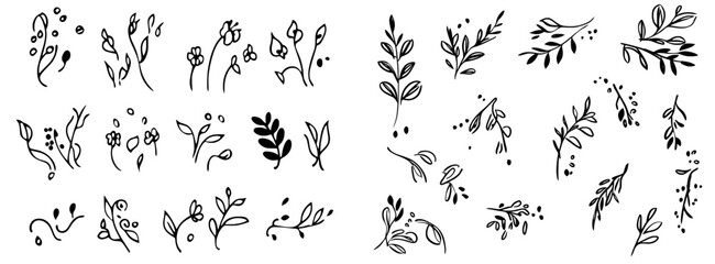 Decorative bloom scribbles design elements isolated on white. These flowers are hand drawn with doodles.
