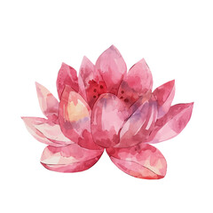 Wall Mural - A watercolor of Lotus Mandala, isolated on a white background. Lotus Mandala vector.