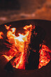 © Borys - Close-up of glowing firewood with bright flames and embers in a round metal firepit. Detailed texture of charred logs creates a cozy winter evening ambiance.