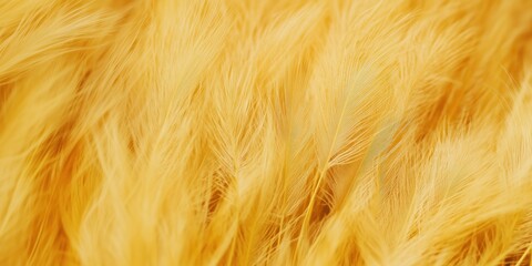 Poster - Vibrant yellow feathers, soft texture, intricate details, natural beauty, warm tones