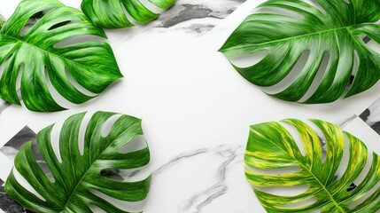 Poster - High Contrast Black and White Checkerboard Background with Lush Green Leaves for Vibrant Visuals and Modern Aesthetic in Design Projects