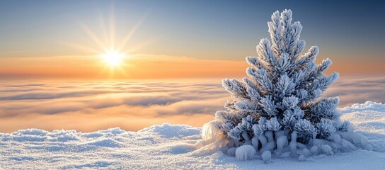 Wall Mural - hyper realistic photo of winter season outdoors landscape