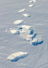 Wall Mural - A snow covered field with a series of footprints leading away from the viewer