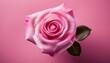 © Arthur - Elegant Pink Rose on Soft Pastel Background. Perfect for Valentine's Day Love Cards, Romantic Greetings, Wedding Invitations, Floral Decor, and Celebrating Love and Affection in Every Moment