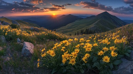 Poster - A beautiful mountain landscape with a sun setting in the background