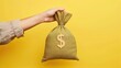© abdul - Female hand holding a bag of money on solid yellow background