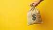 © abdul - Female hand holding a bag of money on solid yellow background