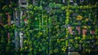 © ECLIVN - An aerial view of a city neighborhood, showcasing a dense canopy of trees surrounding buildings. The park in the center provides a lush green contrast to the urban landscape.