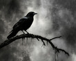 © Sekai - Minimalistic Crow Silhouette on Stormy Grey, Simple yet Powerful Nature Scene
