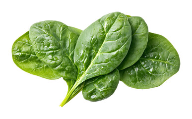 Wall Mural - spinach isolated on white background 