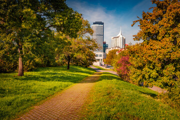 Canvas Print - Empty alley in the Danube Island with white skyscrapers on background. Splendid autumn cityscape of Vienna, Austria, Europe. Traveling concept background..