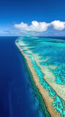 Wall Mural - Aerial view of the vibrant Great Barrier Reef stretching into the horizon, AI