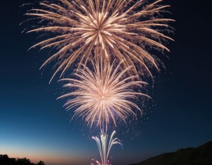 fireworks in the night sky