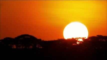Wall Mural - beautiful silhouette of sunset 4k