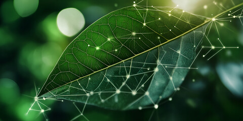 Poster - nature's network: a vibrant green leaf, intricately overlaid with a glowing network of connections, 