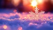 © AGUNG - A single snowflake glistens in the soft light of a setting sun.