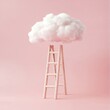 © Rock  - A ladder made of cotton, leading up to a cloud on a pink background, minimal look