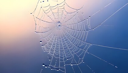 Natural macro shot. Macro of dew on spider web, glistening detail, natural light, 3D illustration.