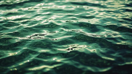 Poster - featuring a textured surface of dark green water, with soft waves and tiny splashes illuminated by s
