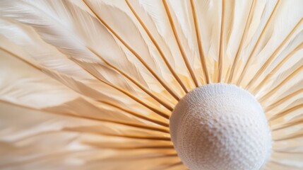 Poster - A badminton shuttlecock feathers with focus on the arrangement and symmetry, indoor setting with fluorescent lighting, Contemporary style