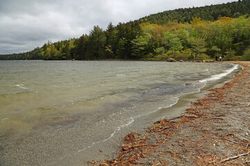 Wall Mural - Echo Lake beach - Acadia National Park, Maine