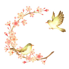 Naklejka na meble 桜とウグイスの背景　手描き色鉛筆画