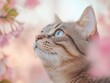 © Ishika - A serene cat gazing upwards amidst blooming flowers.