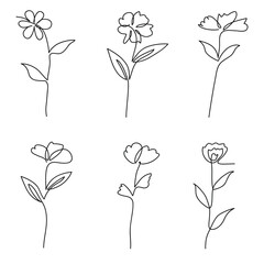 Wall Mural - Flowers hand - drawn blossom line art botanical collection.Vector illustration