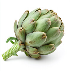 Poster - Artichoke Isolated