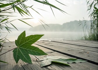 Wall Mural - Minimalist Photography Exploring Abstract Shapes and Natural Textures in a Serene Environment, Highlighting Simple Elegance and Tranquility in Everyday Life