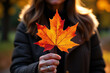 © Jira switch - A woman enjoying autumn with colorful maple leaves in a vibrant park.
