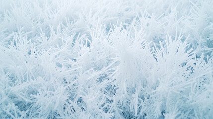 background with frost and snow, top view with some winter elements disposed on a neutral background, natural light -