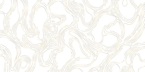 Vector gold line wood texture illustration, organic shape wave pattern, abstract luxury tree graphic, trunk circles, topography map background