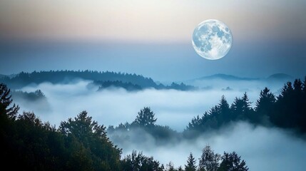 Aufkleber - A full moon illuminates misty forests creating a serene nightscape with ethereal beauty