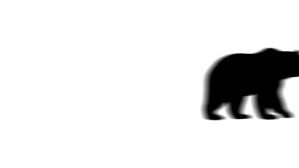 Poster - Animation set, bear icon. Animations: transparency, zooms, transition top to down, transition left to right, slide up to down, slide left to right