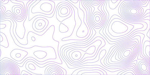 Poster - Abstract white colorful gradient Topographic line map background. Contour elevation topographic and textured Background Modern design with White background with topographic wavy pate for decoration.	